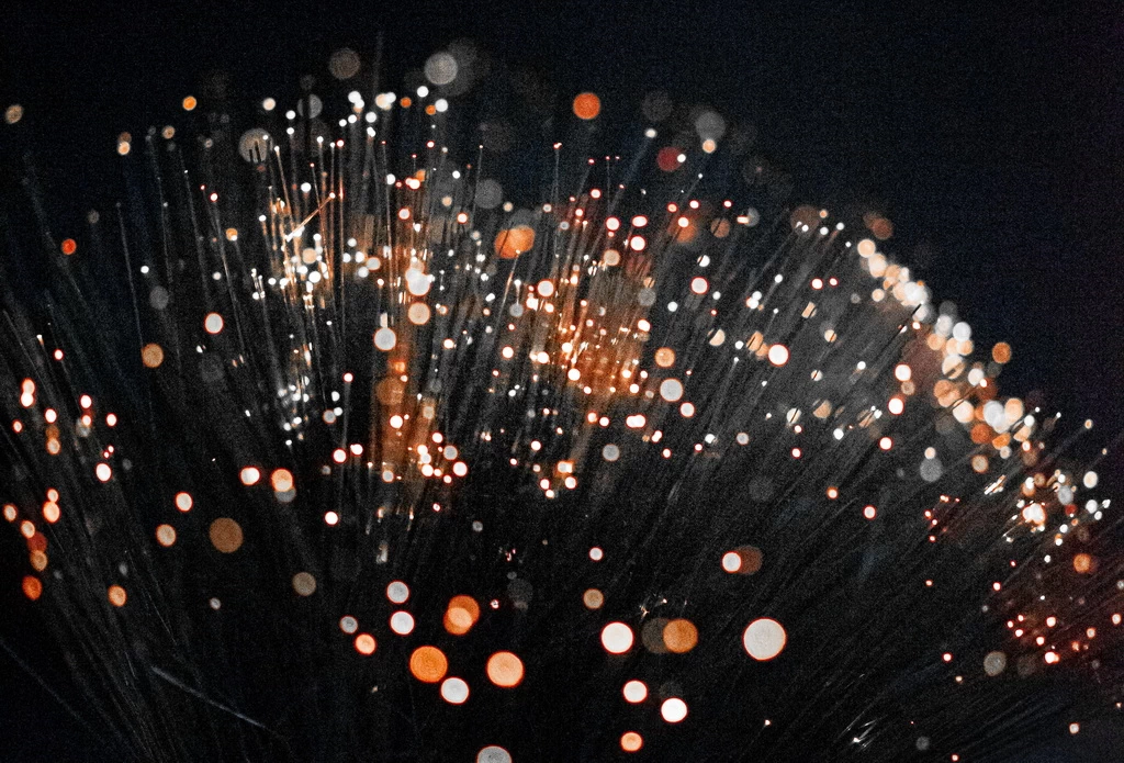 Fibra ottica